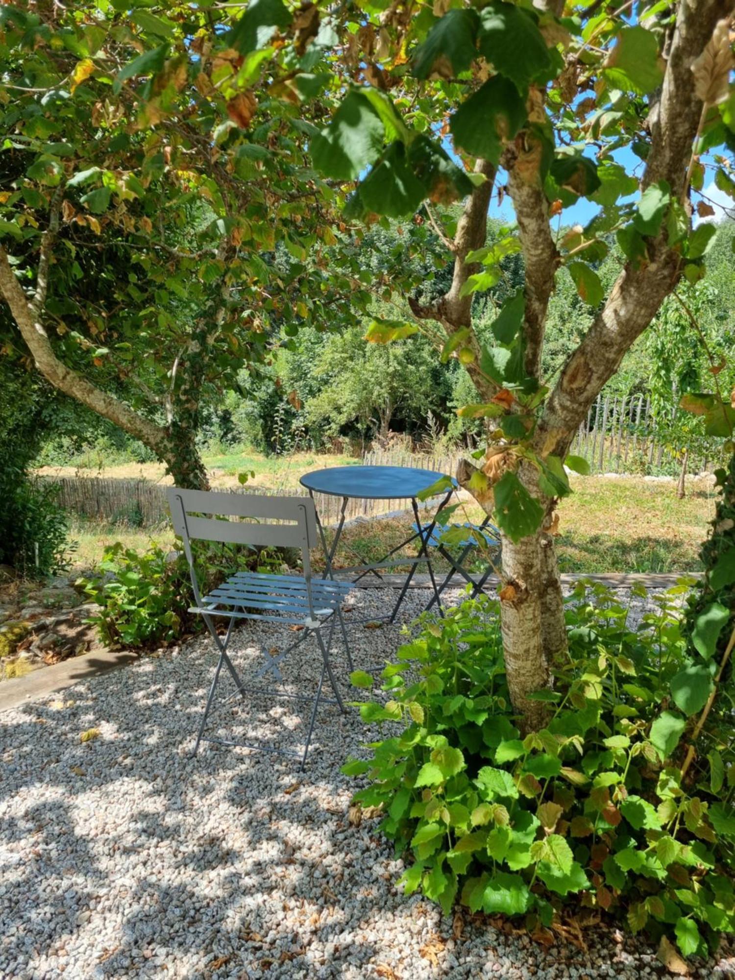 A Bella Scusa Bed & Breakfast Bastelica
