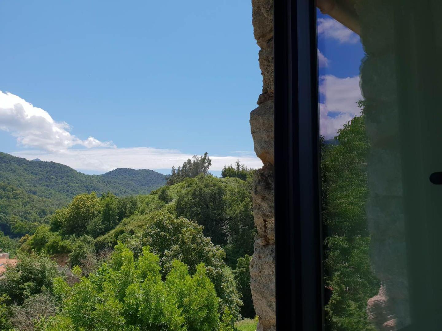 A Bella Scusa Bed & Breakfast